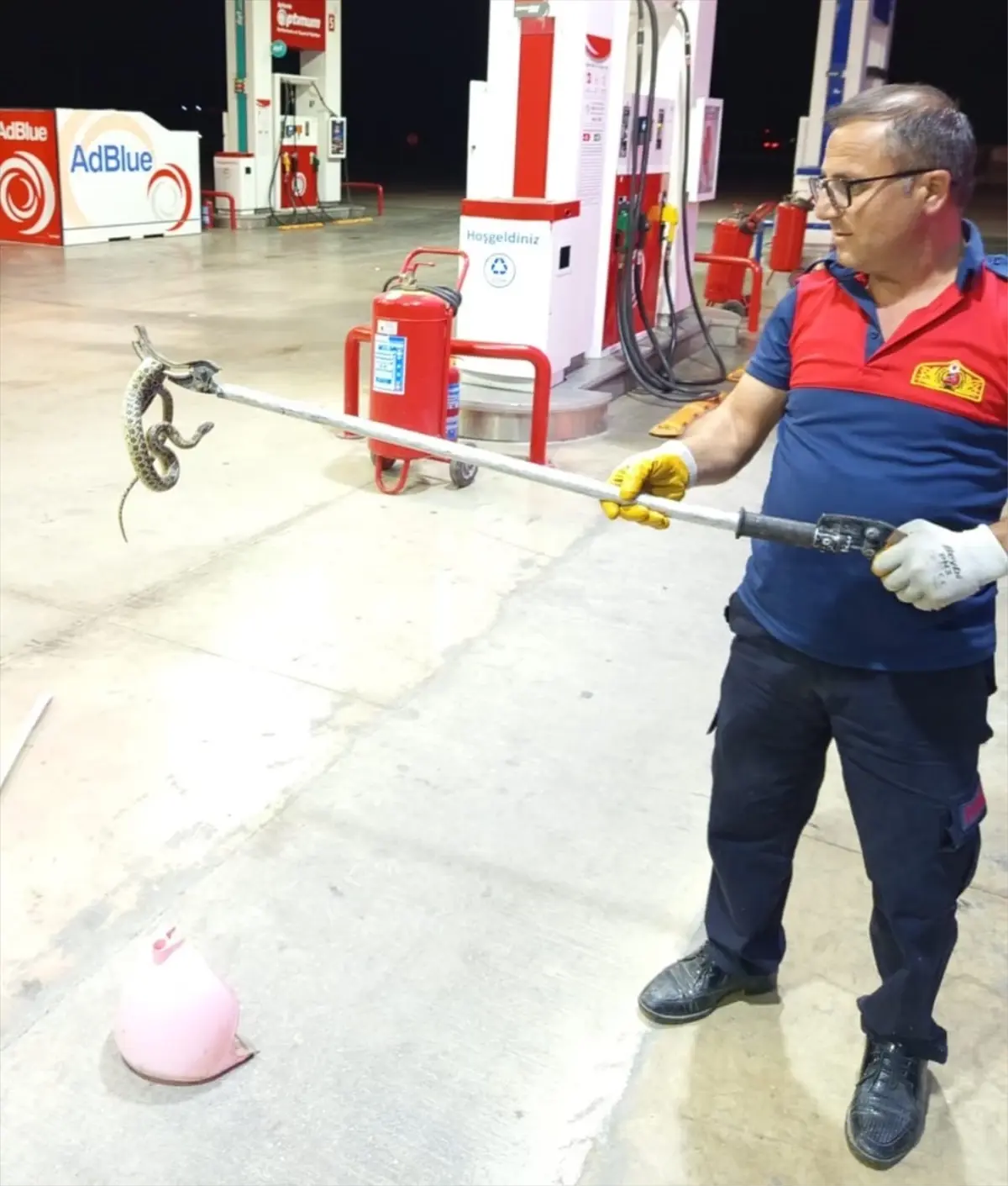 tasovada-akaryakit-istasyonuna-giren-yilan-tabiata-salindi-RhvvjqDq.jpg